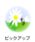 ピックアップ